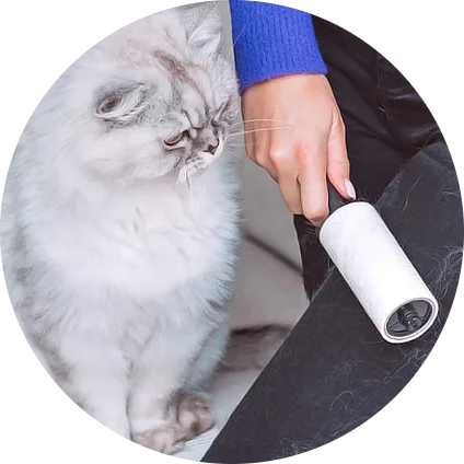ارایشی و بهداشتی گربه